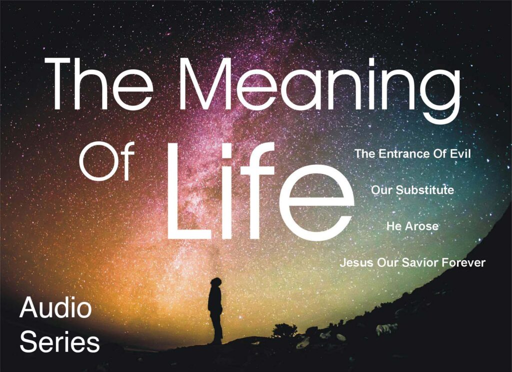 The Meaning of Life audio series album art