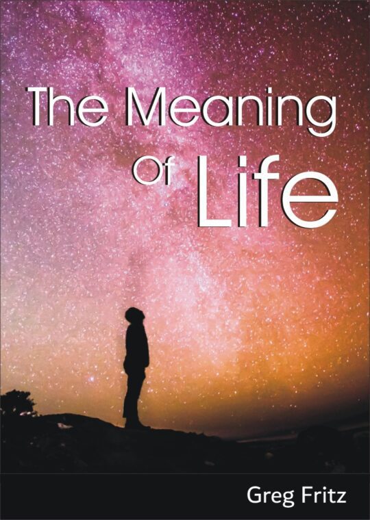 Book cover: The Meaning of Life by Greg Fritz
