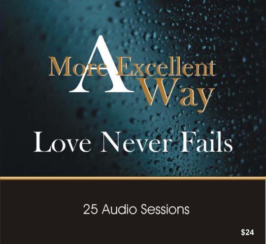 A More Excellent Way album art