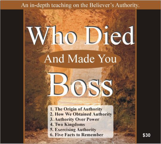 Who Died and Made You the Boss album art